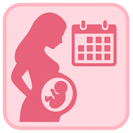 Pregnancy Calculator